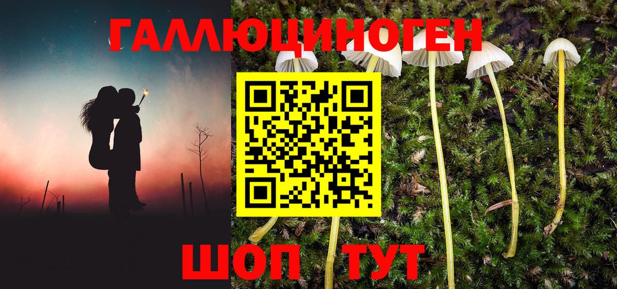Псилоцибиновые грибы мухоморы Усть-Кут